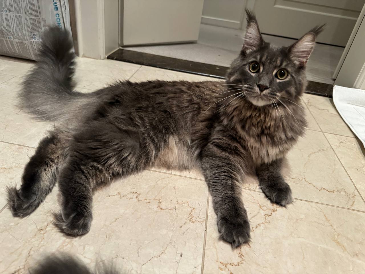 Wunderschön Wunderschön