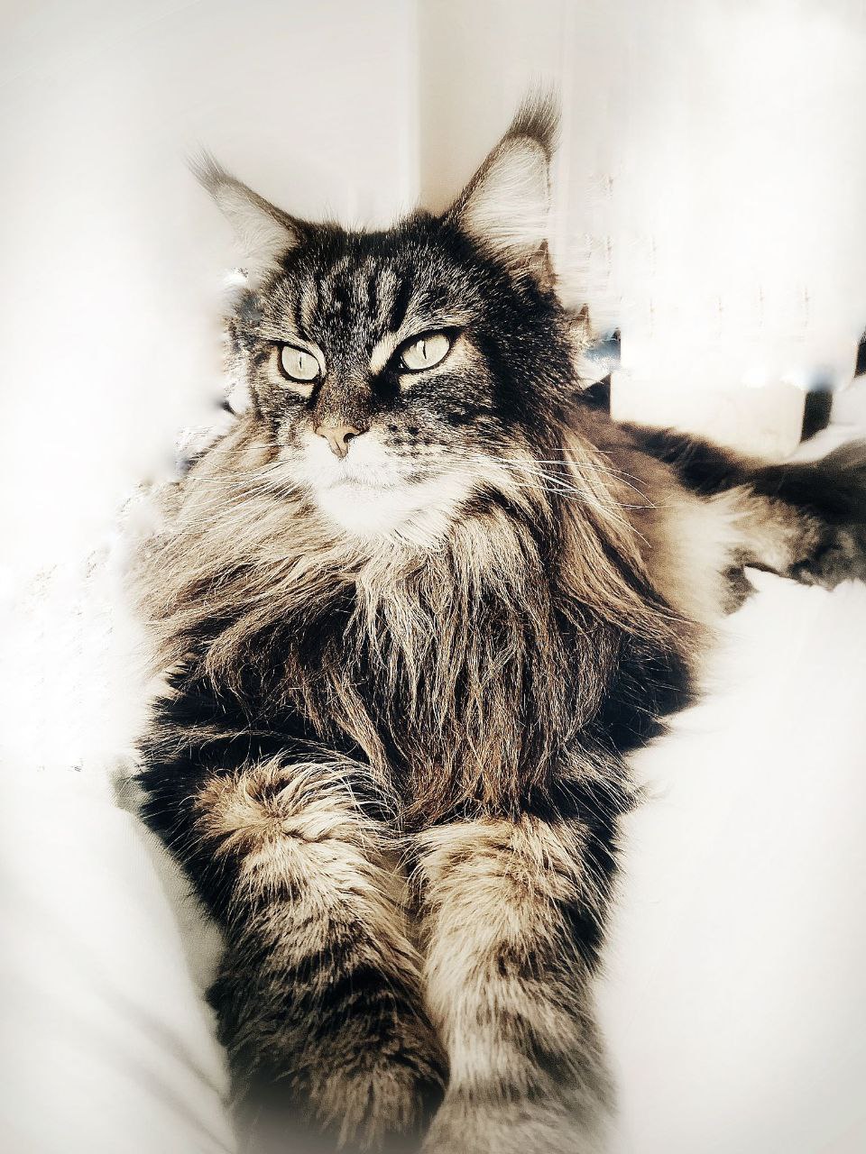 Xenna 7 Jahre alt Xenna 7 Jahre alt