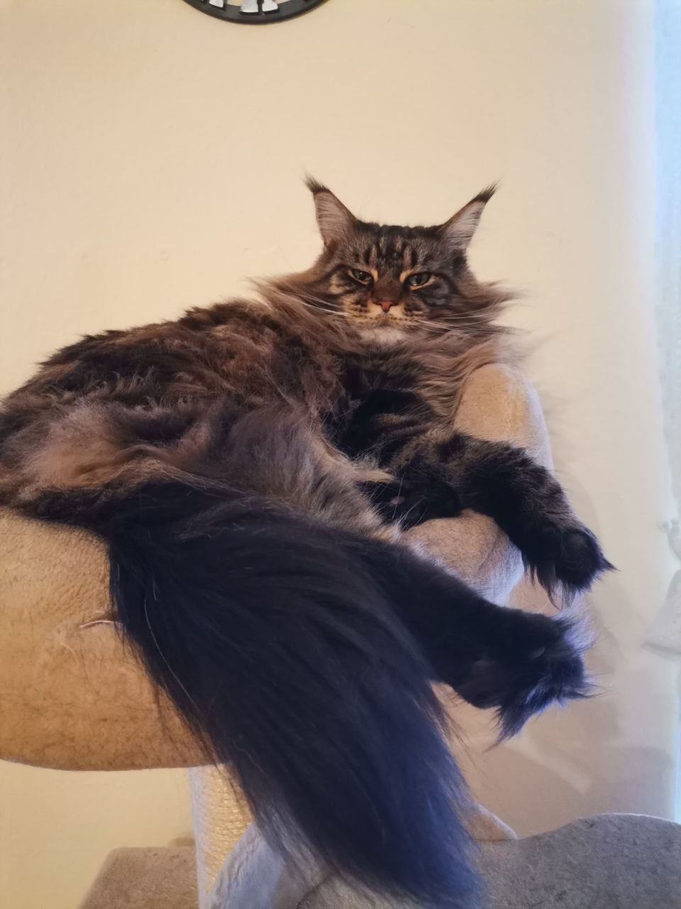 Zarina ganz entspannt Zarina ganz entspannt