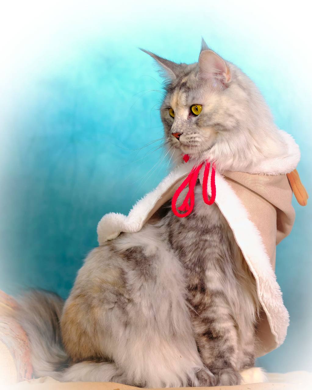 zauberhafte Kosma zauberhafte Kosma