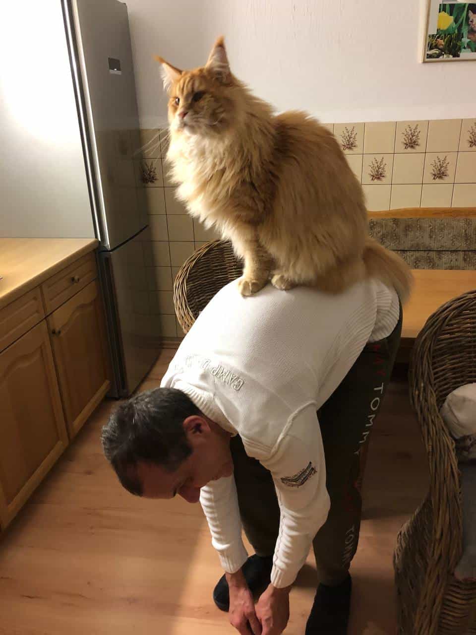 Adam auf dem Hocker Adam auf dem Hocker