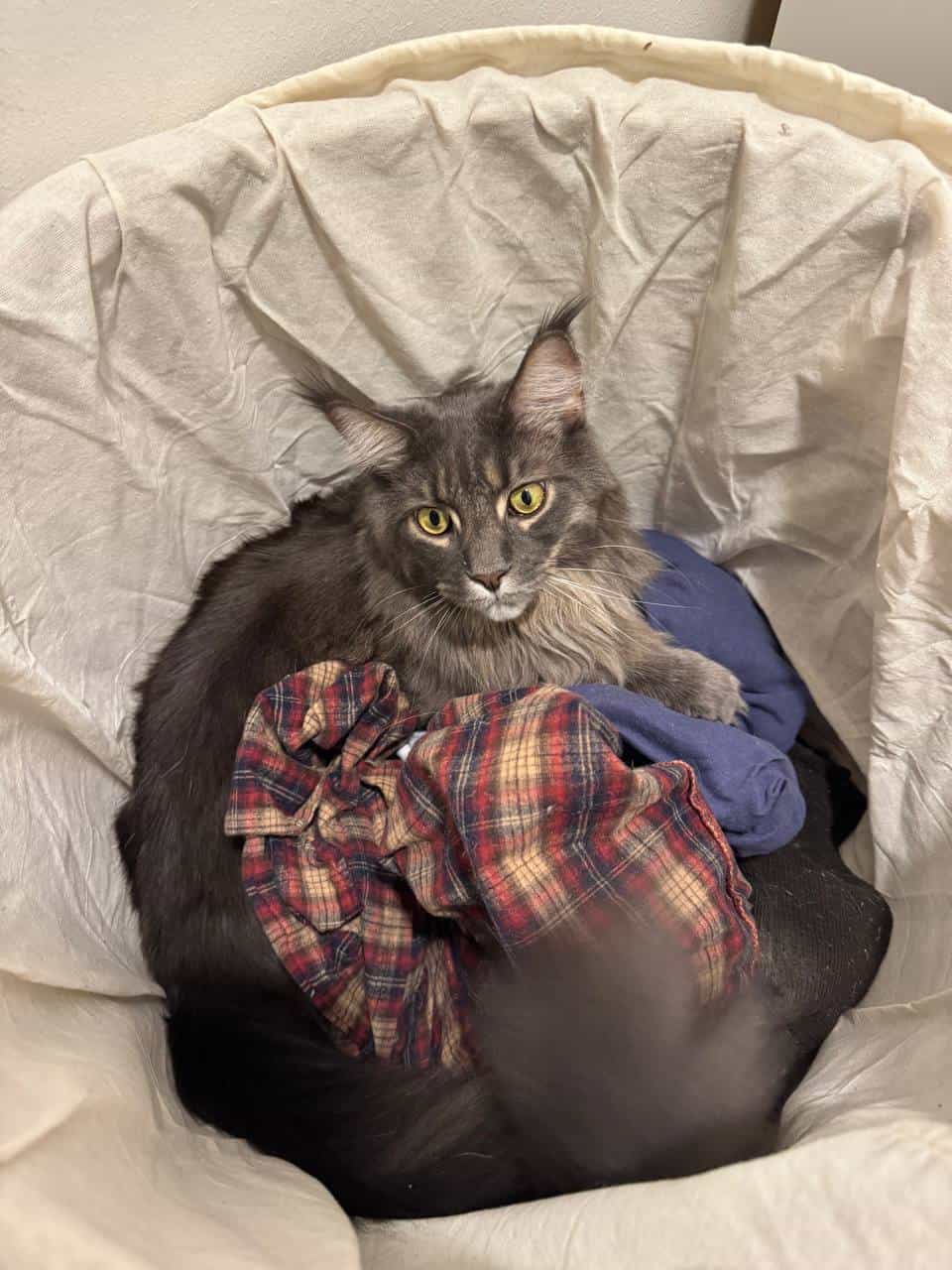 Best of Leo Best of Leo