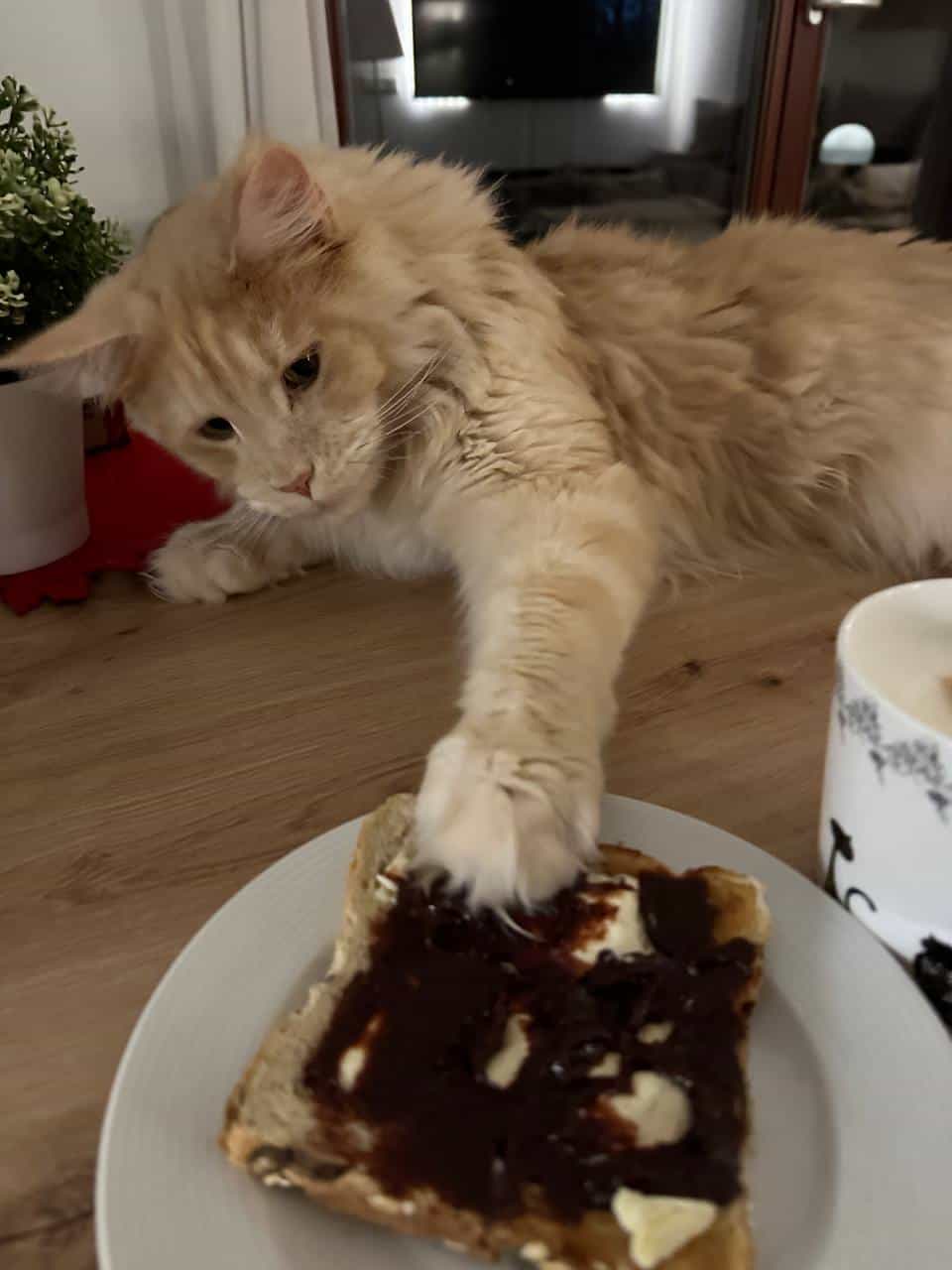 Das ist doch bestimmt für mich Das ist doch bestimmt für mich