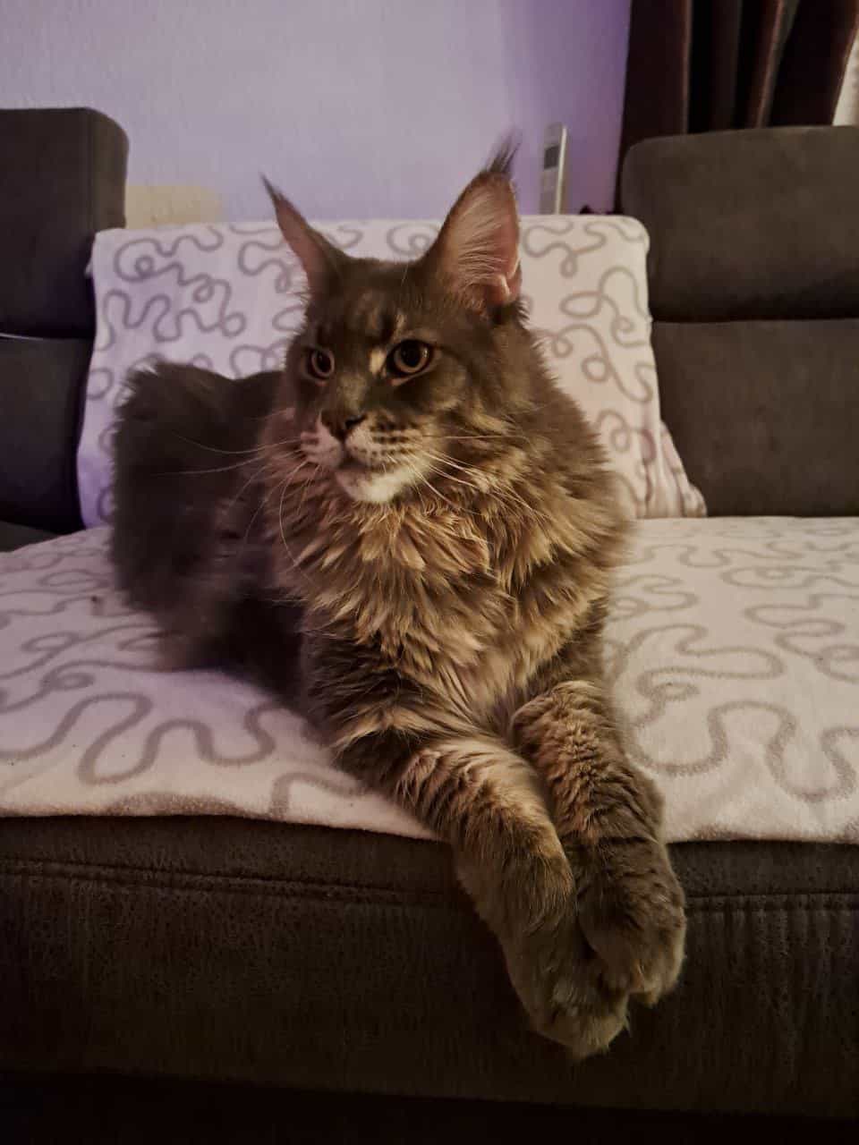 Grüße von Xana aus Bautzen Grüße von Xana aus Bautzen