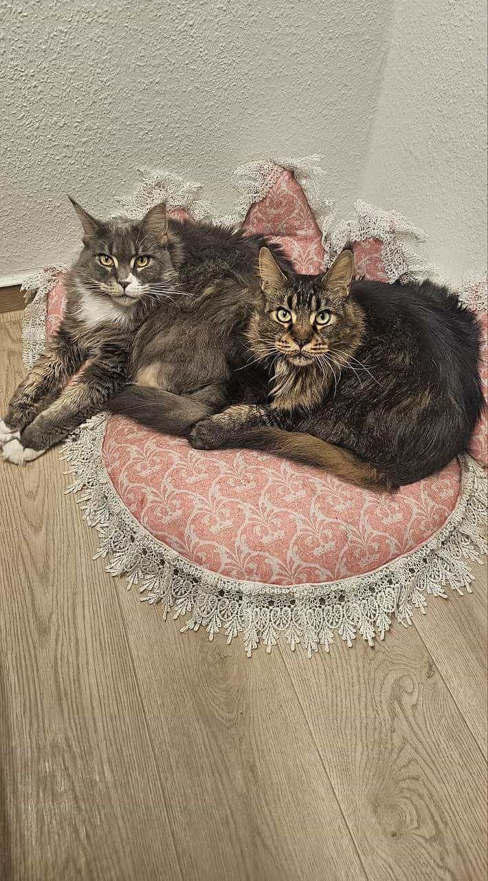 Isa und Sue Isa und Sue