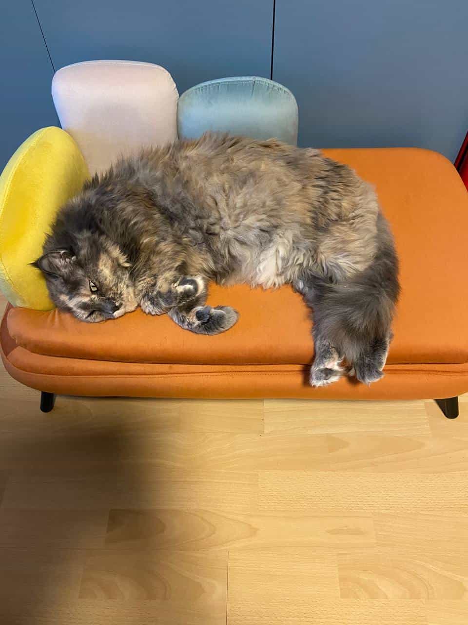 Mama Zoey grüßt euch auch Mama Zoey grüßt euch auch