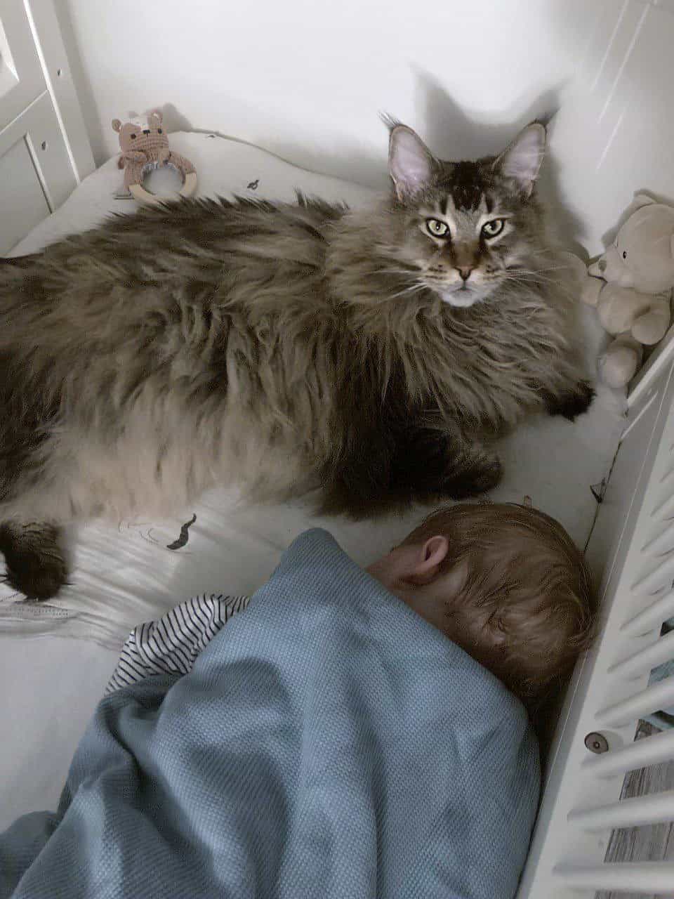 Nick als Wächter über den Schlaf Nick als Wächter über den Schlaf