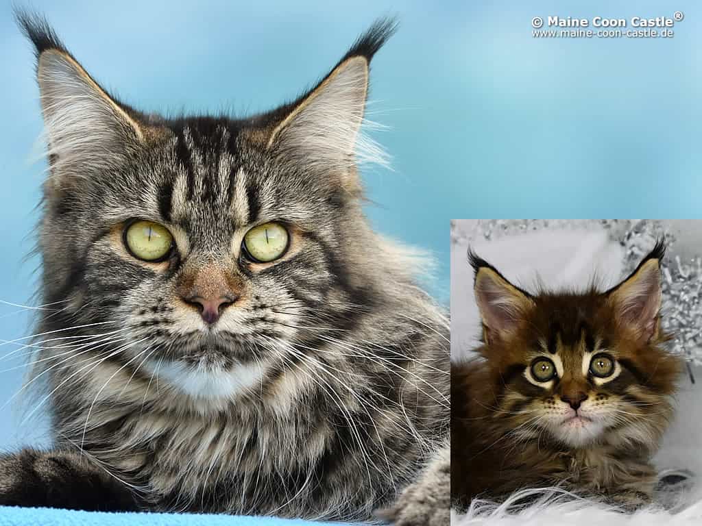 Nina und Gray Nina und Gray