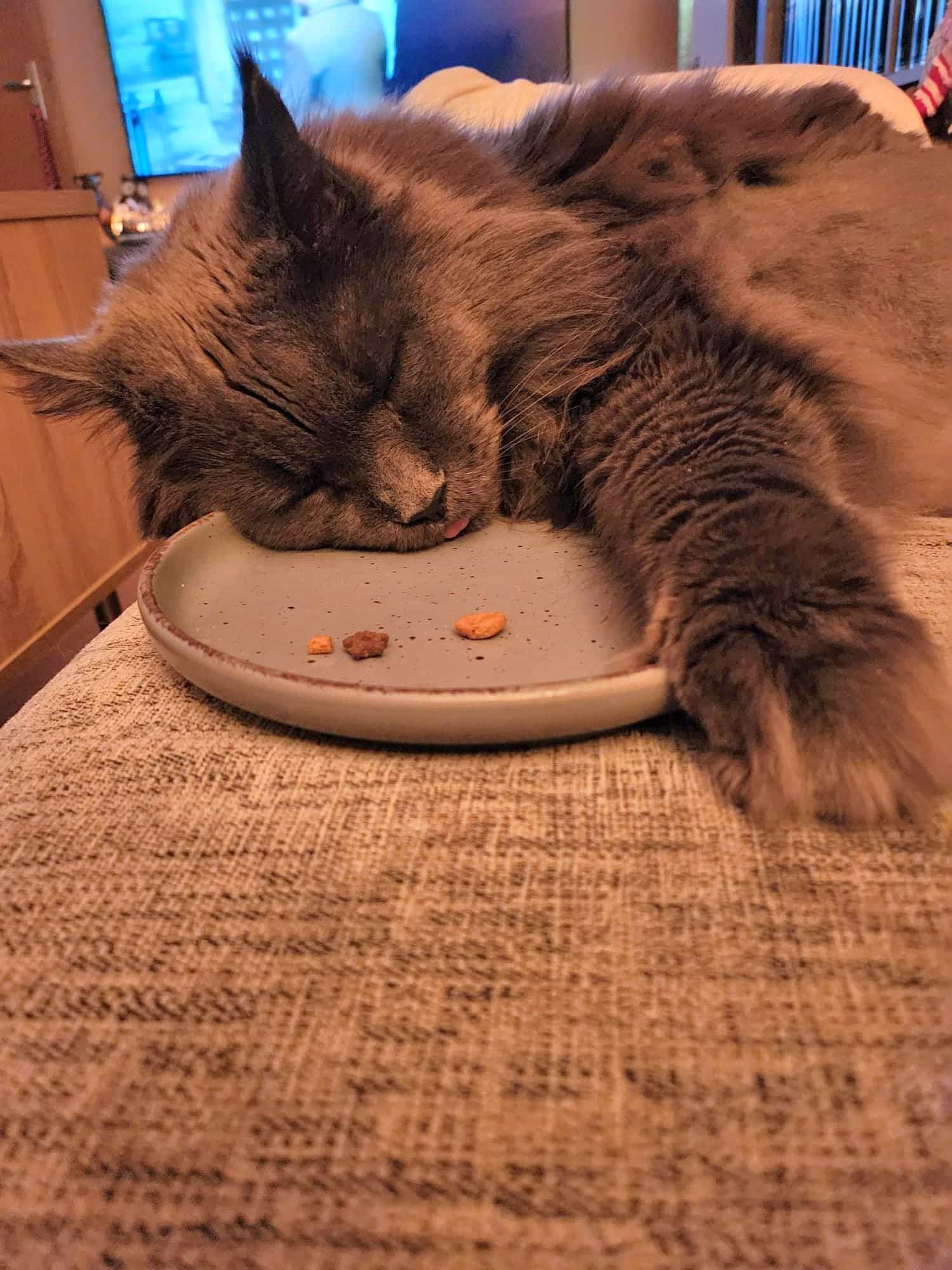 Paco of MCC Paco of MCC