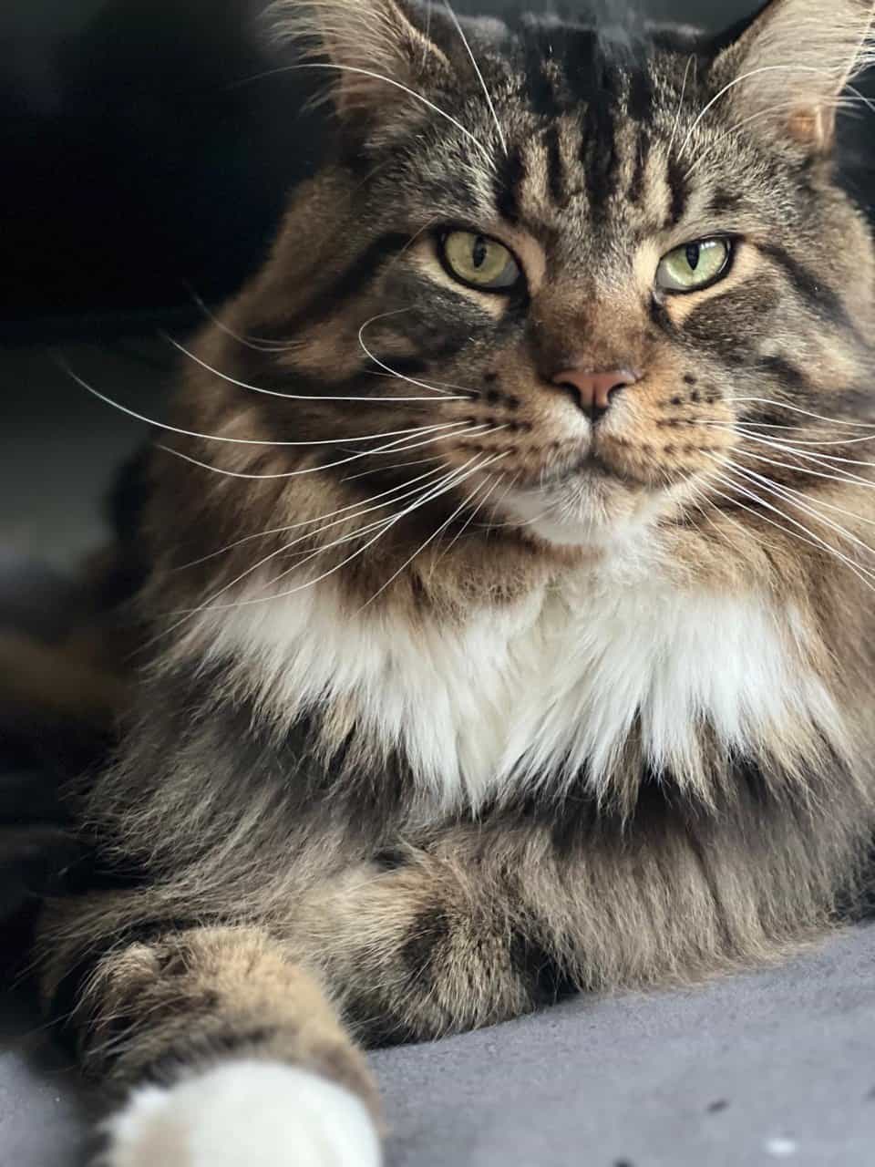 Xavier in voller Pracht Xavier in voller Pracht