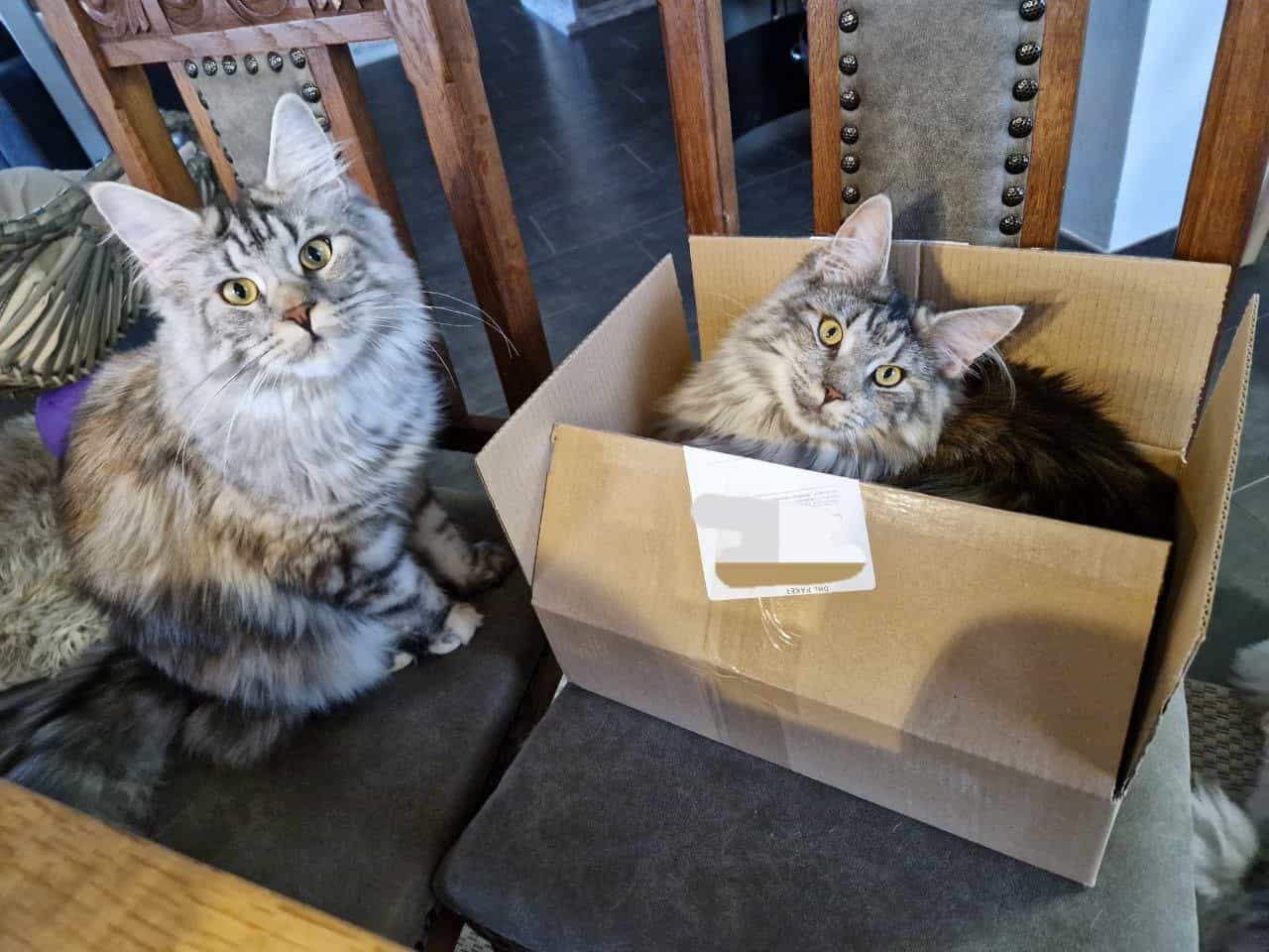 Zuckersüß die beiden Zuckersüß die beiden