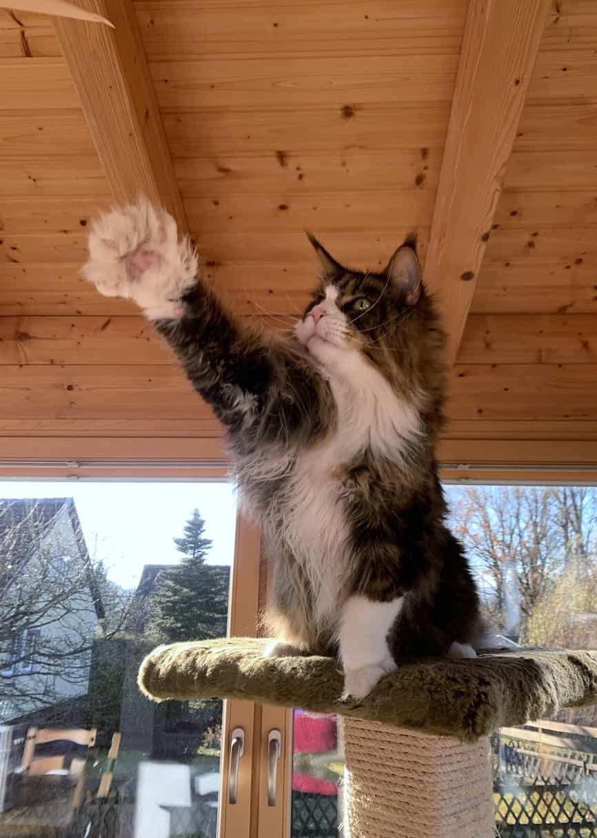 der Stern hängt noch nicht richtig der Stern hängt noch nicht richtig