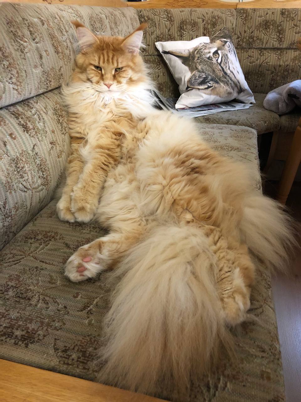 Adam Was guckst du ich schlaf gleich ein Adam Was guckst du ich schlaf gleich ein