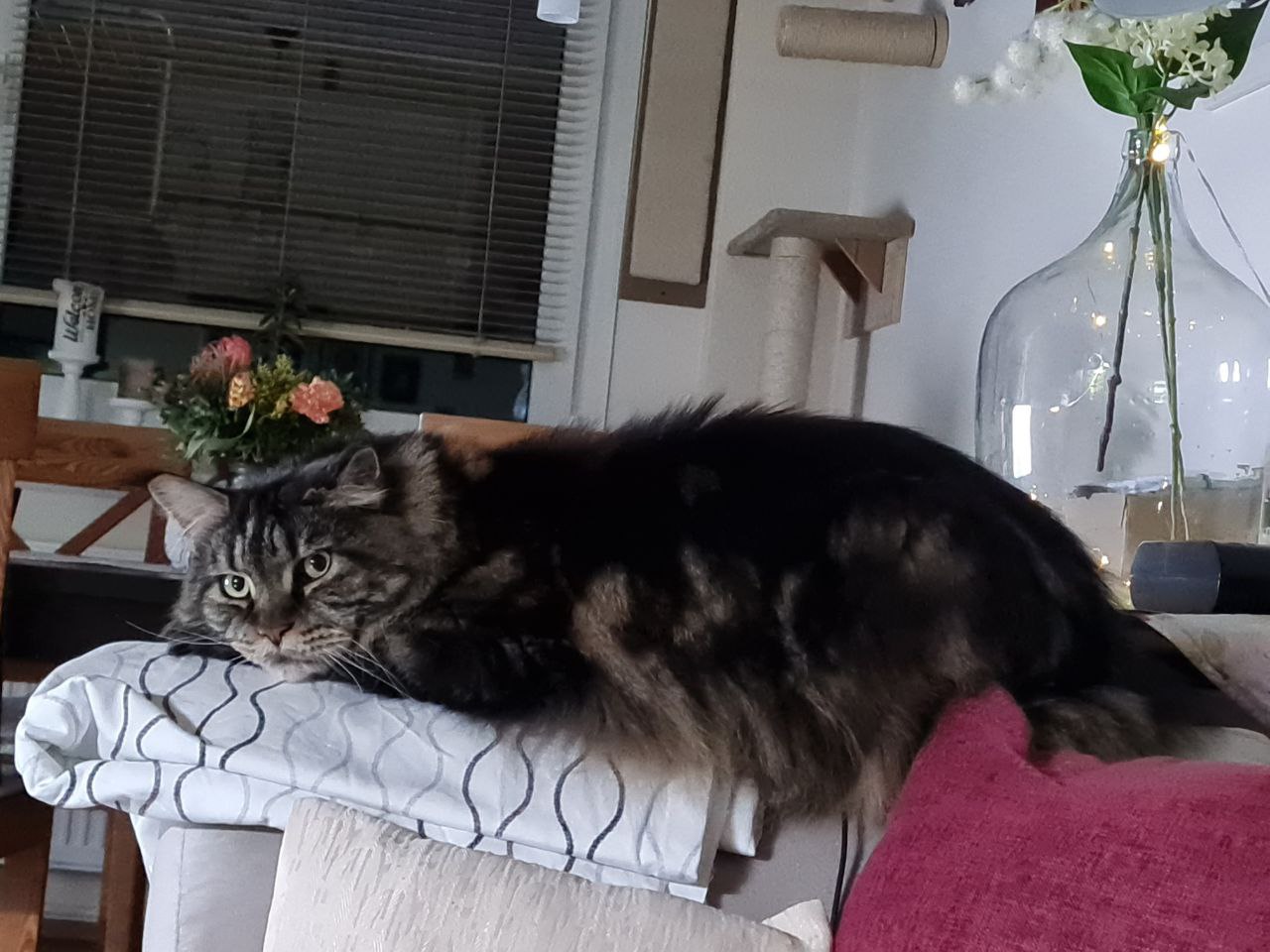 Betty total entspannt Betty total entspannt