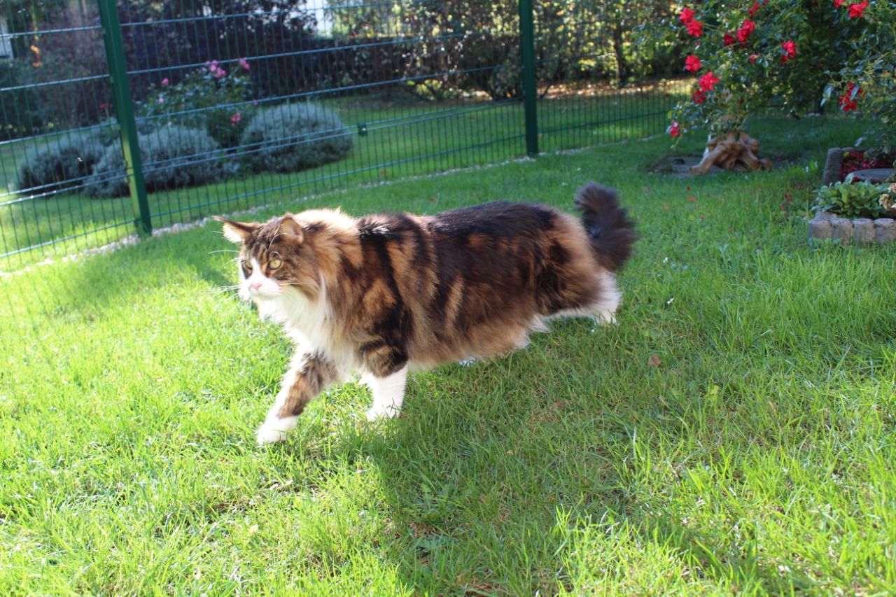 Dean auf Streifzug Dean auf Streifzug