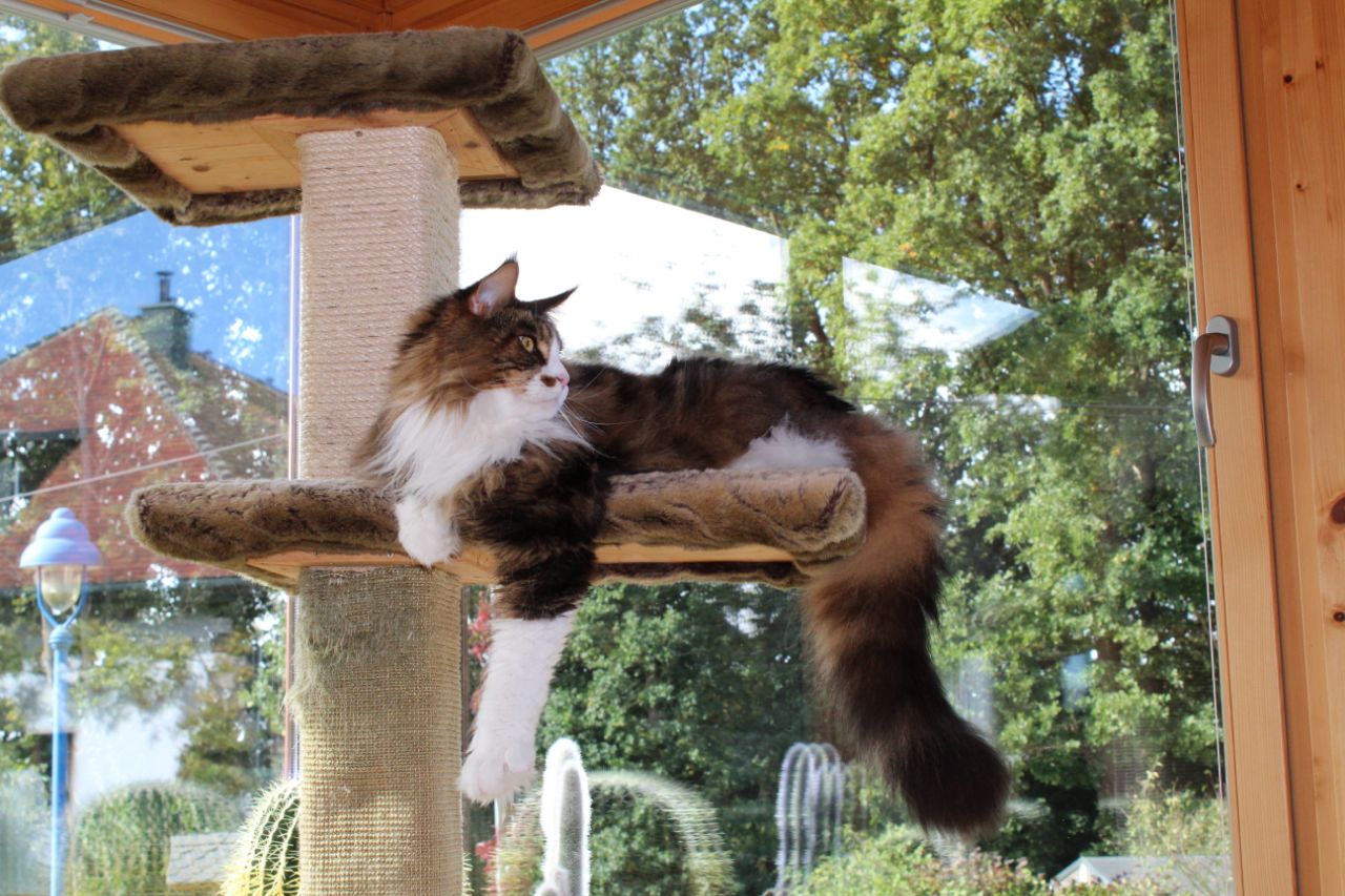 Dean sieht sich das Ganze mal von drinnen an Dean sieht sich das Ganze mal von drinnen an