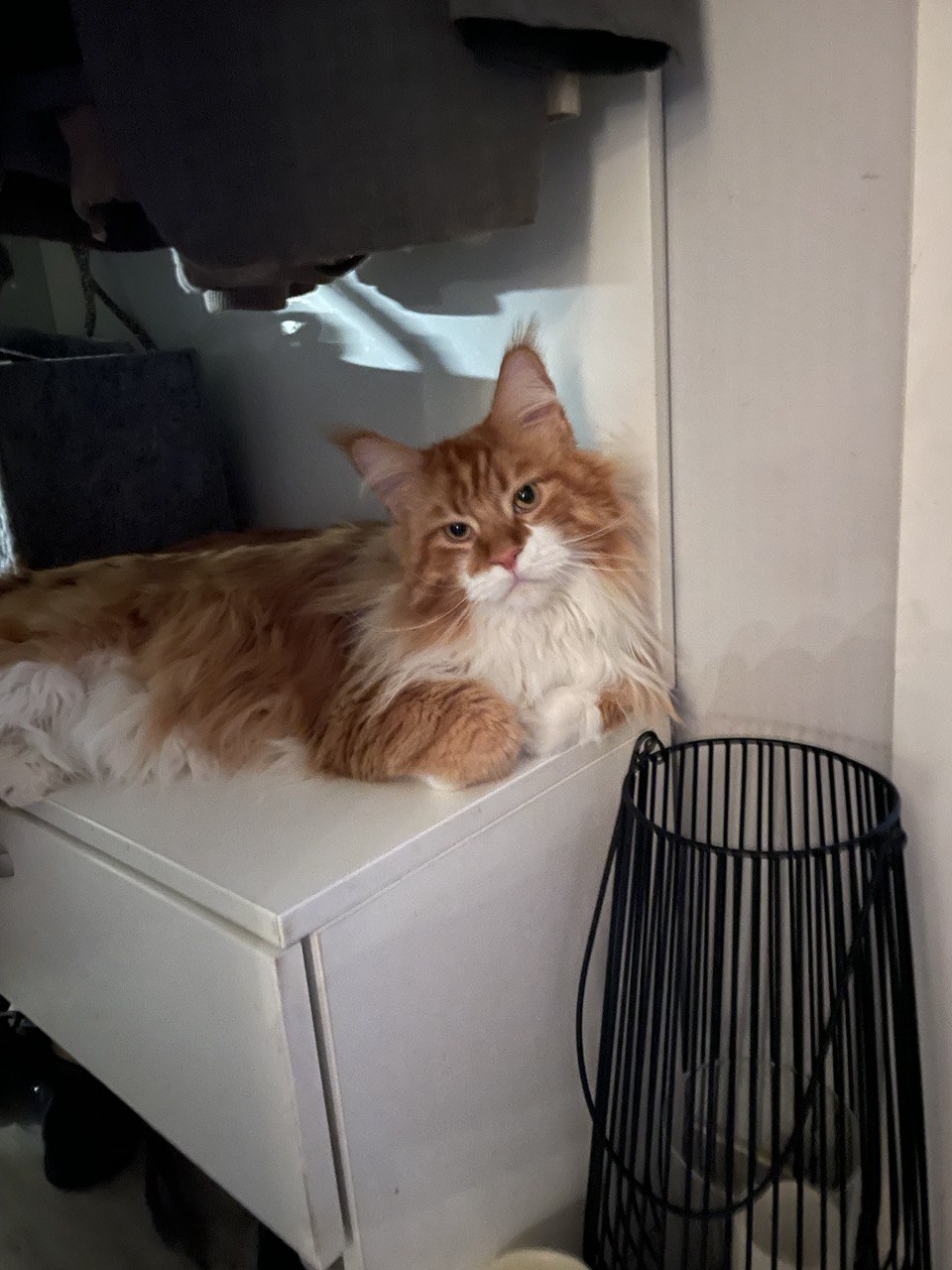 Erik am Morgen, vertreibt Kummer und Sorgen Erik am Morgen, vertreibt Kummer und Sorgen