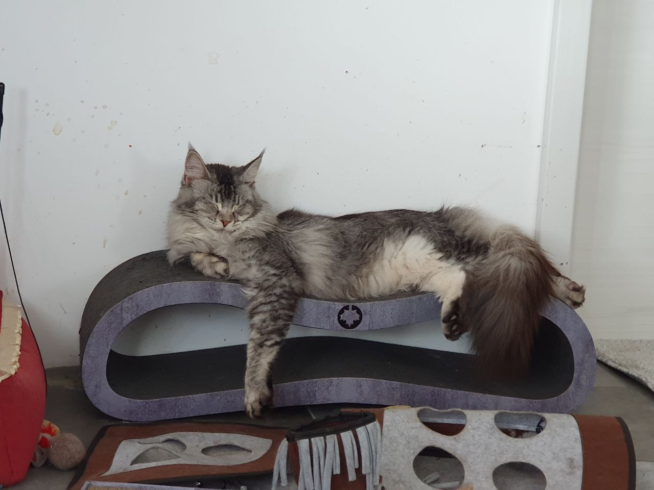 Franny 2 Jahre alt Franny 2 Jahre alt