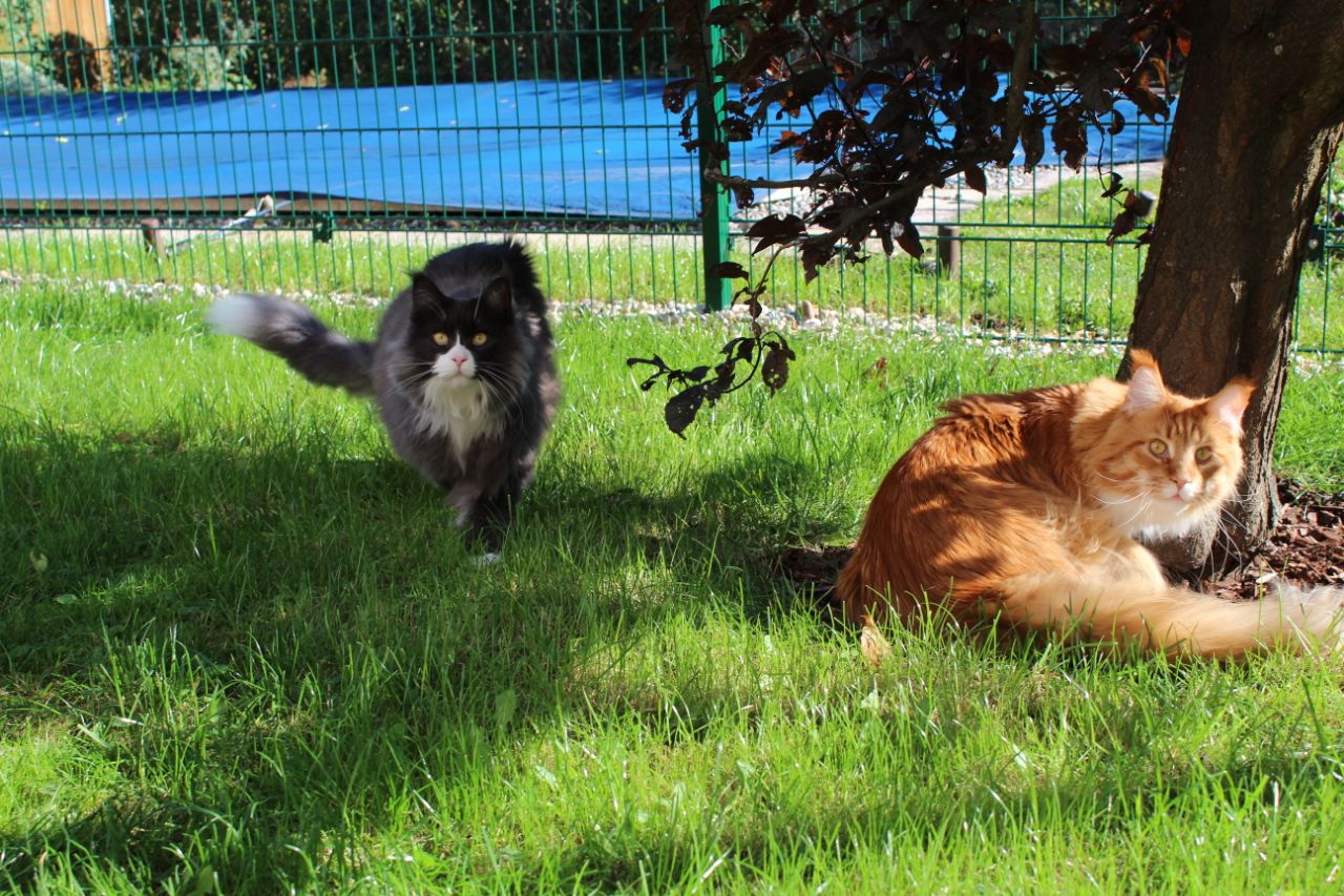 Gibt es schon Mittagessen Gibt es schon Mittagessen