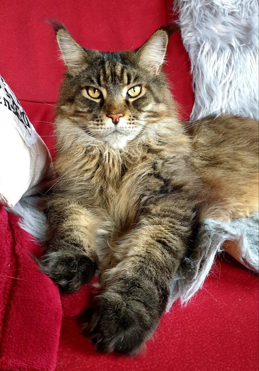 Gino 7 Jahre alt Gino 7 Jahre alt