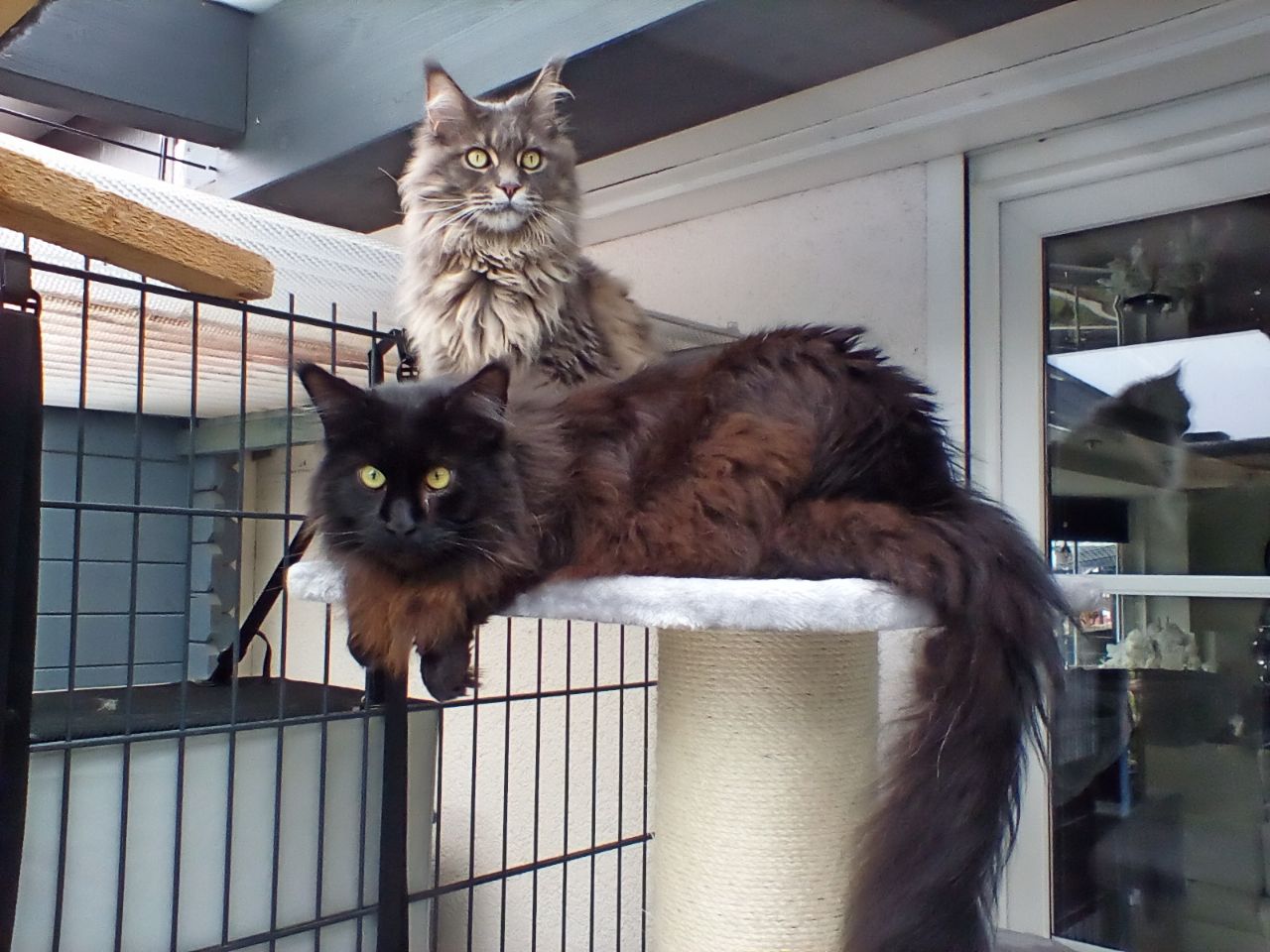 Inka und Gustel Inka und Gustel