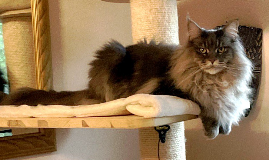 Jada 4 Jahre alt Jada 4 Jahre alt