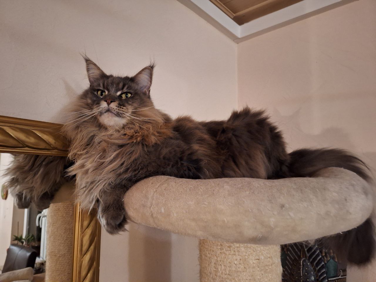 Jada in voller Pracht Jada in voller Pracht