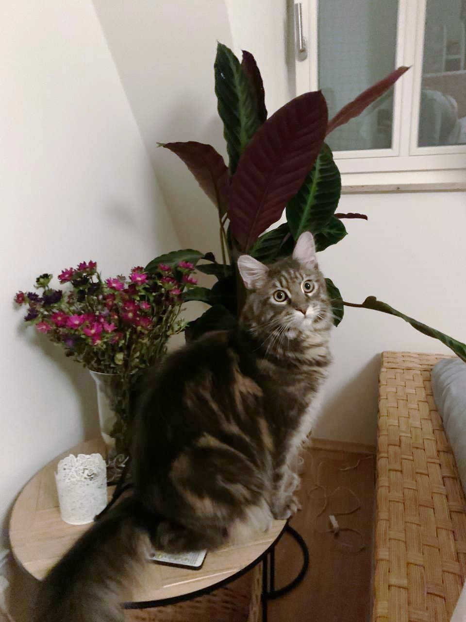 Layci Machst Du bitte ein Foto von mir Layci Machst Du bitte ein Foto von mir