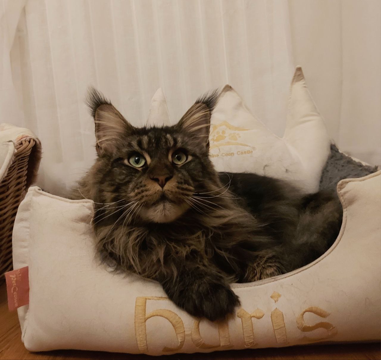 Lieblingskörbchen sind nie zu klein Lieblingskörbchen sind nie zu klein