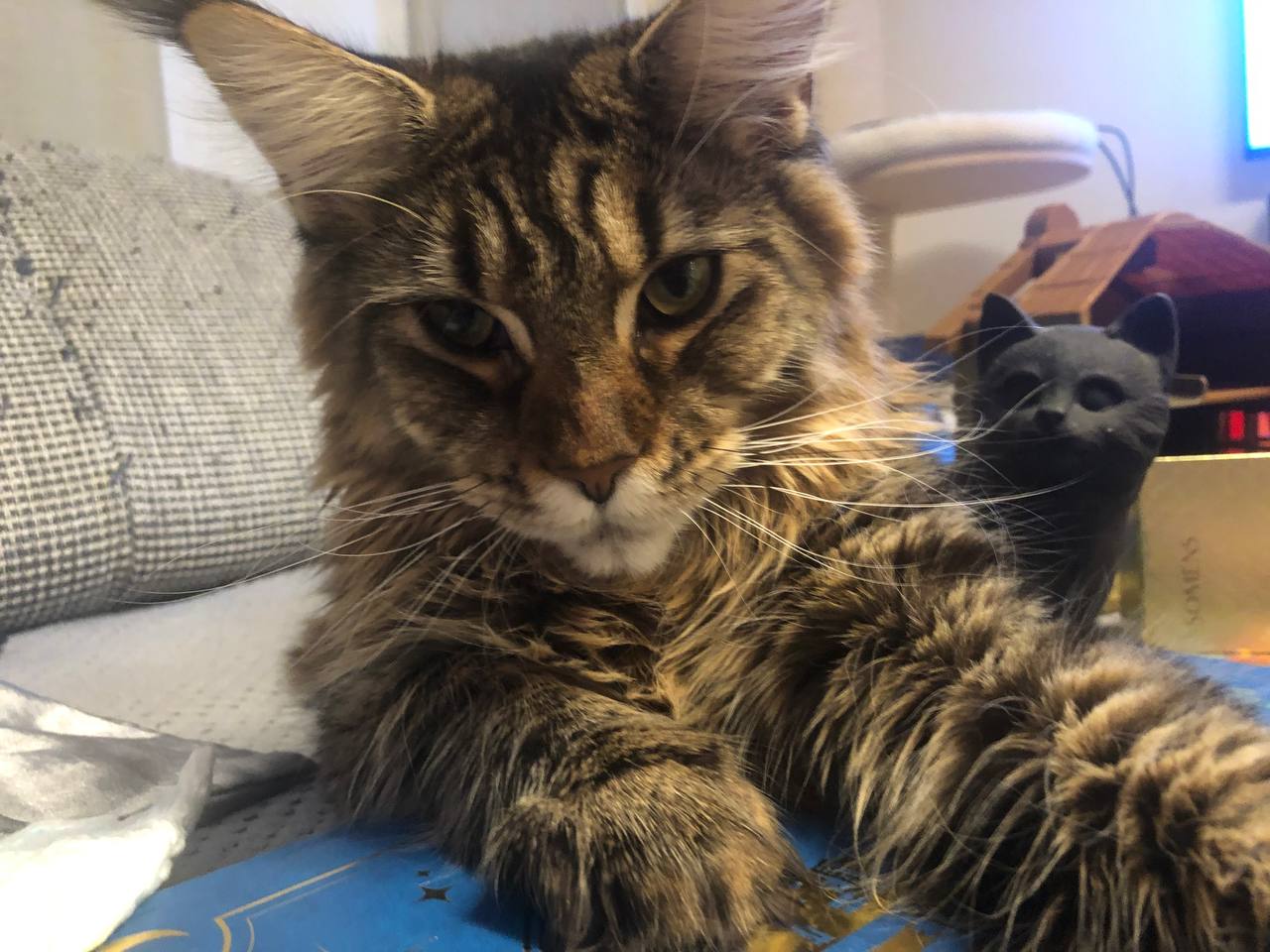 Lilly wünscht einen guten morgen Lilly wünscht einen guten morgen