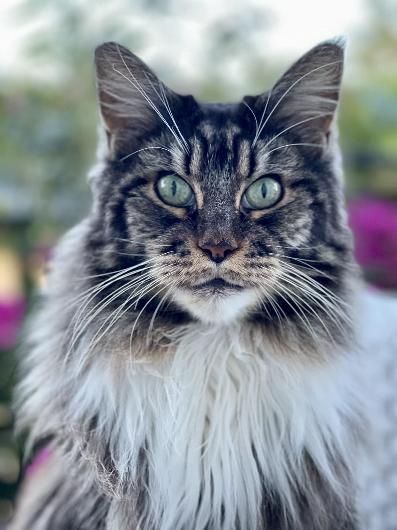 Maika WAS guggst Du Maika WAS guggst Du