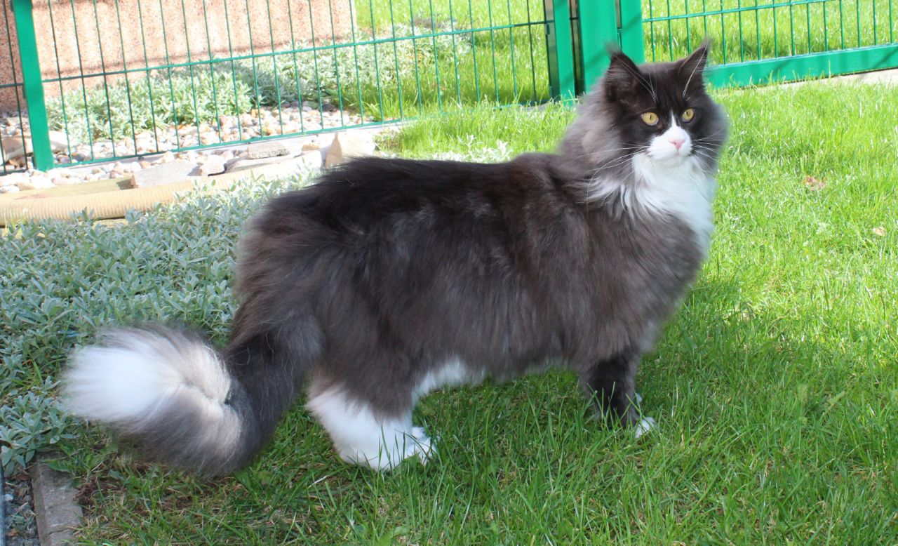 Meine kecke Molly Meine kecke Molly