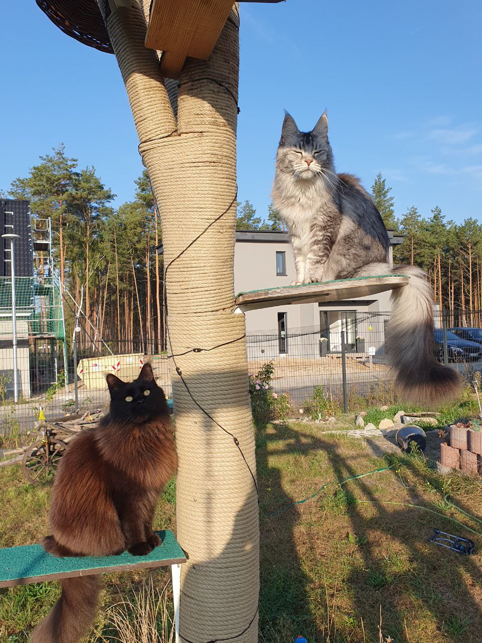 Noch das schöne Wetter genießen Noch das schöne Wetter genießen