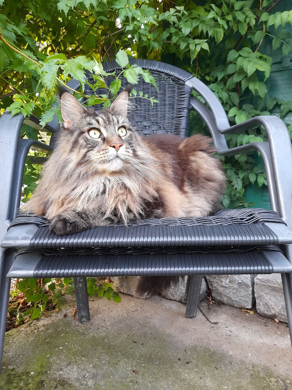 Noch schnell ein bisschen Sonnenbaden Noch schnell ein bisschen Sonnenbaden