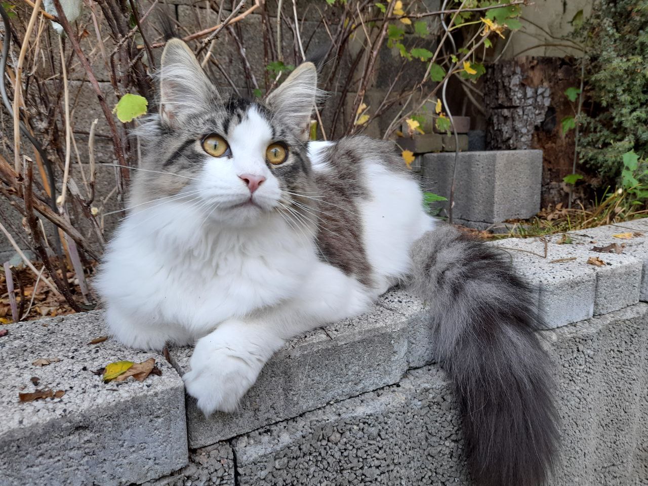 Pelle 6 Monate alt Pelle 6 Monate alt