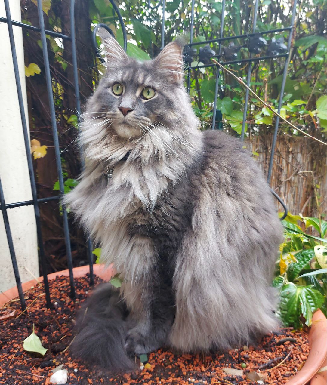 Posen für die Kamera Posen für die Kamera