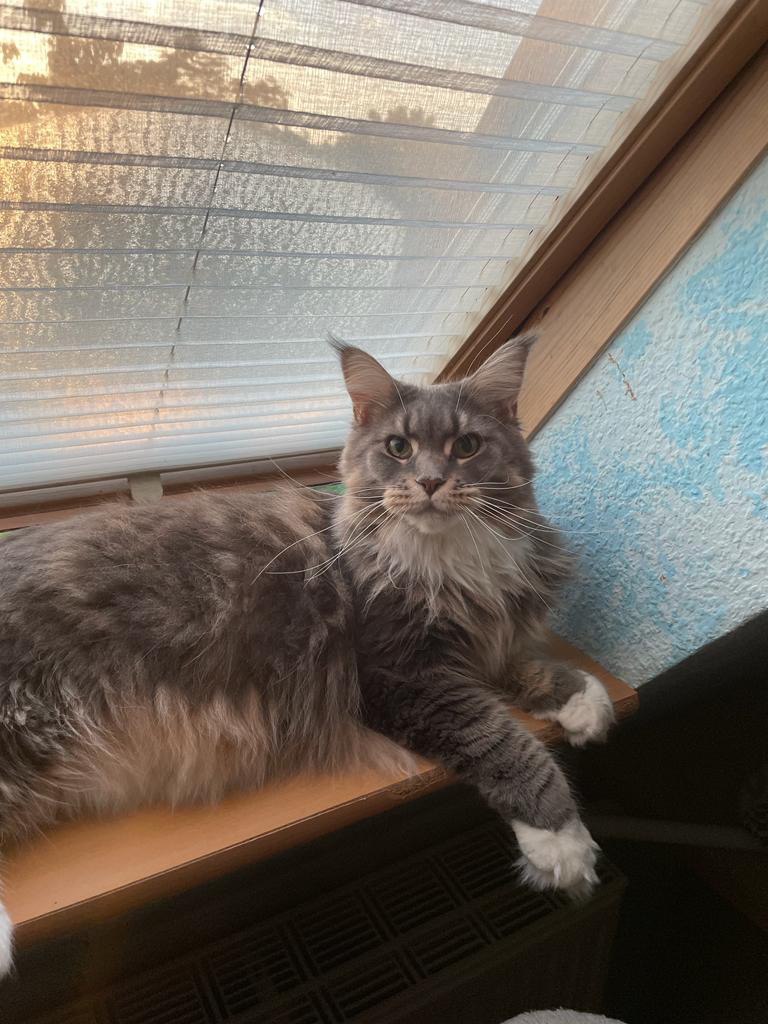 Prinzessin Xira unsere liebe Pummelfee Prinzessin Xira unsere liebe Pummelfee