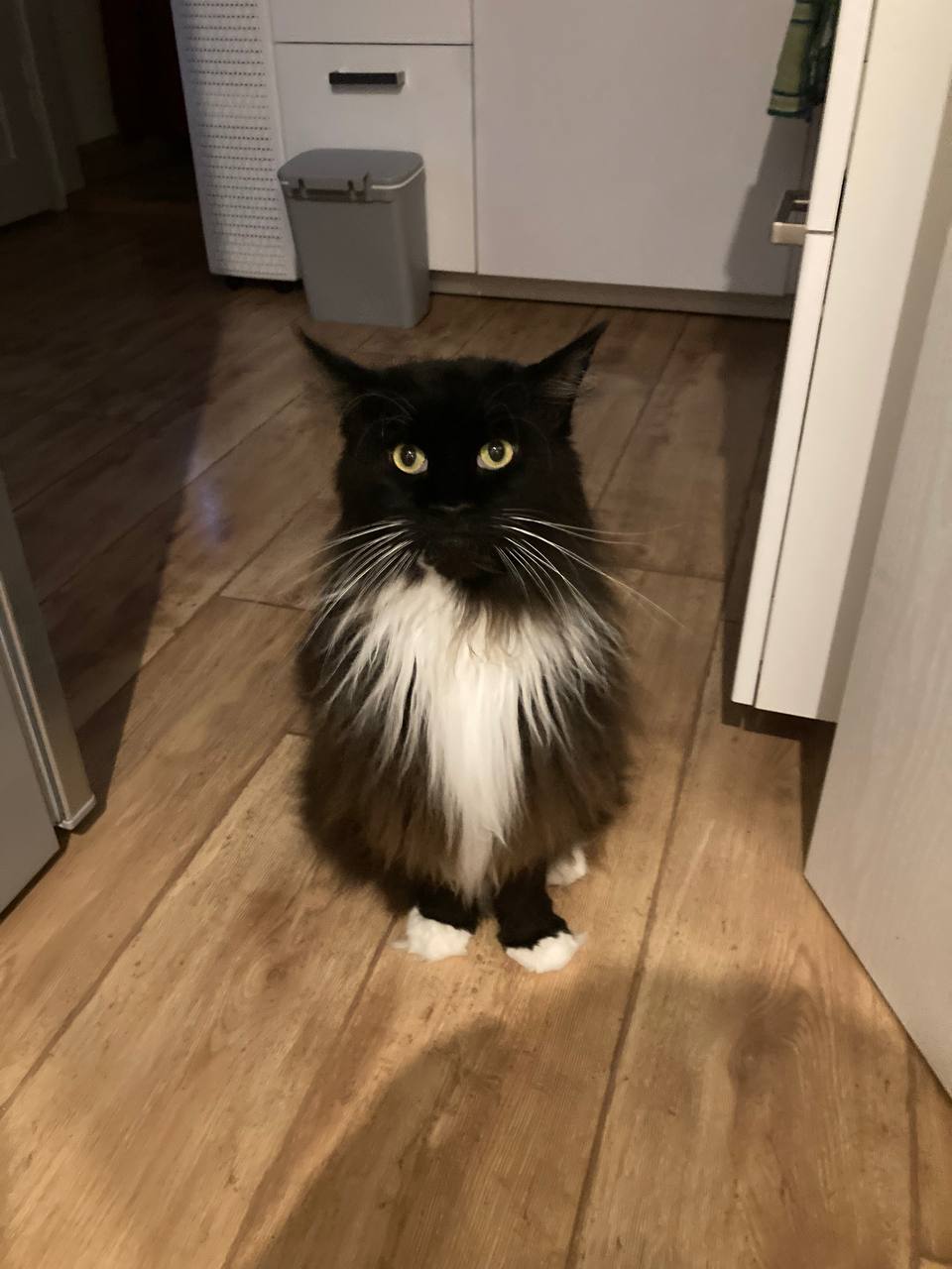 Quentin 8 Jahre alt Quentin 8 Jahre alt