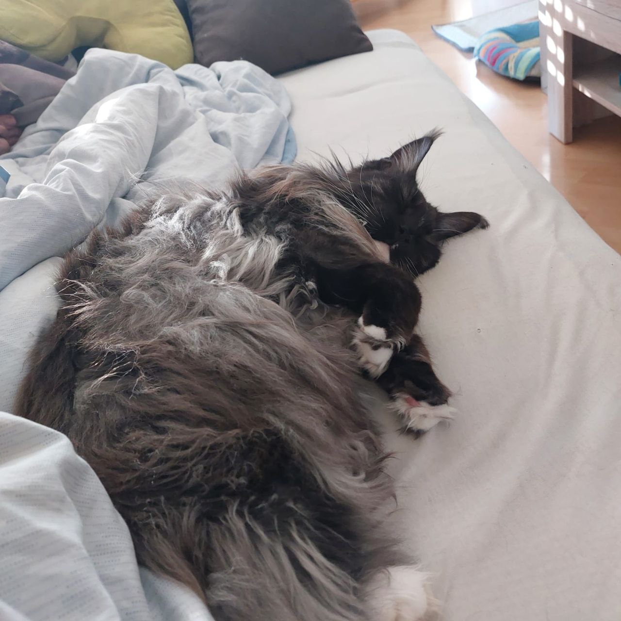 Quinton beim pennen Quinton beim pennen