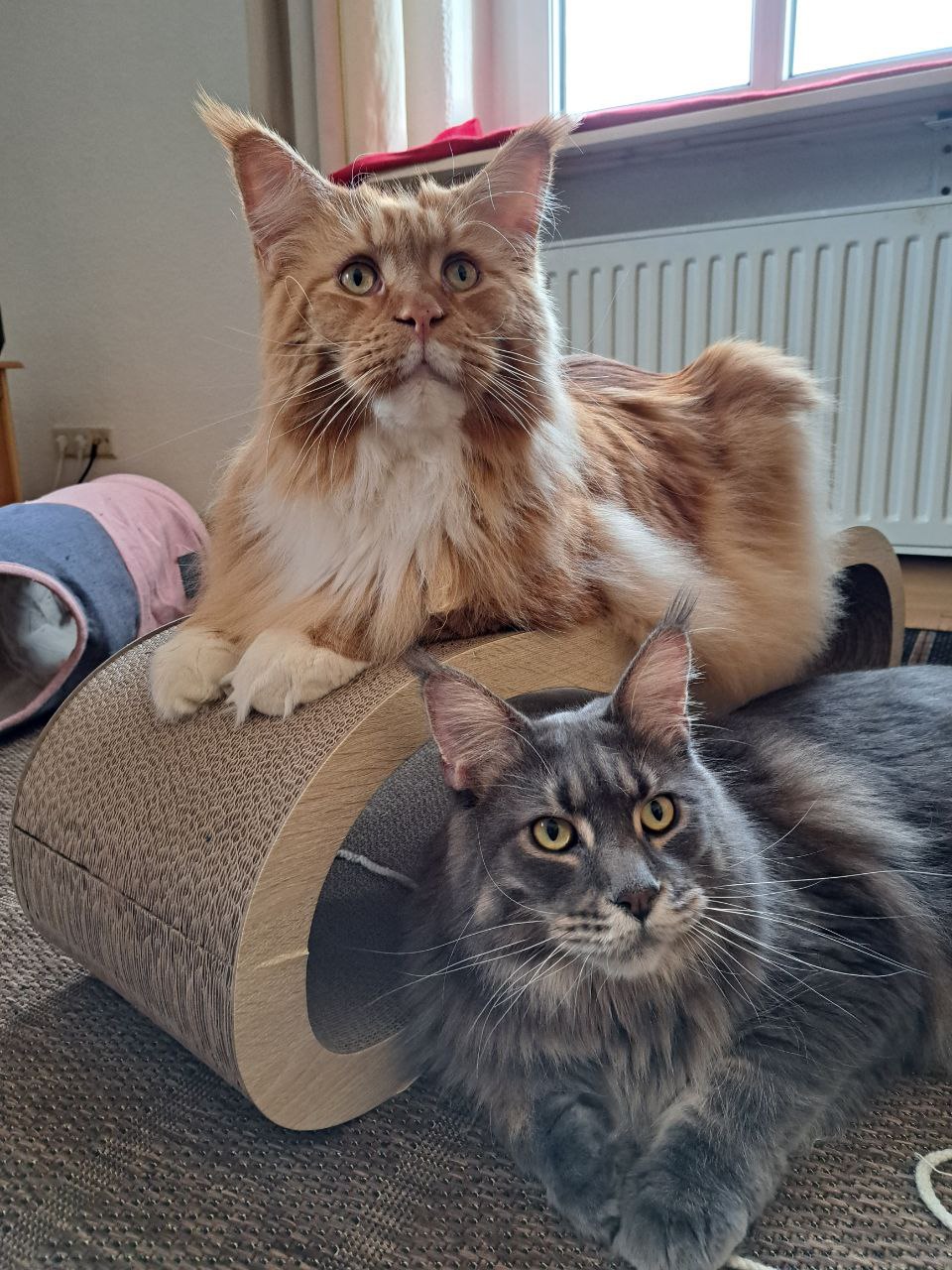 Victor und Xana Victor und Xana