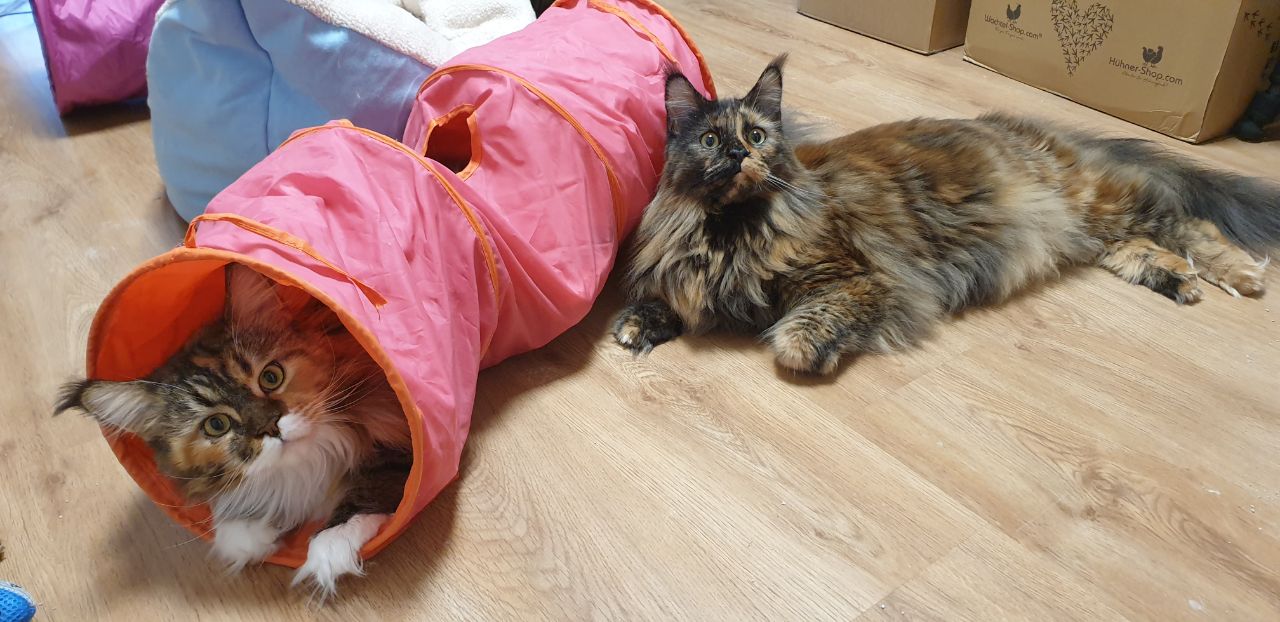 Wilma und Tochter Jutta Wilma und Tochter Jutta