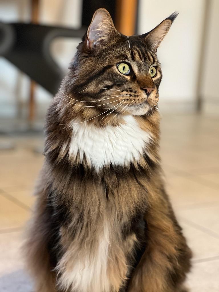 Xavier of MCC Xavier of MCC