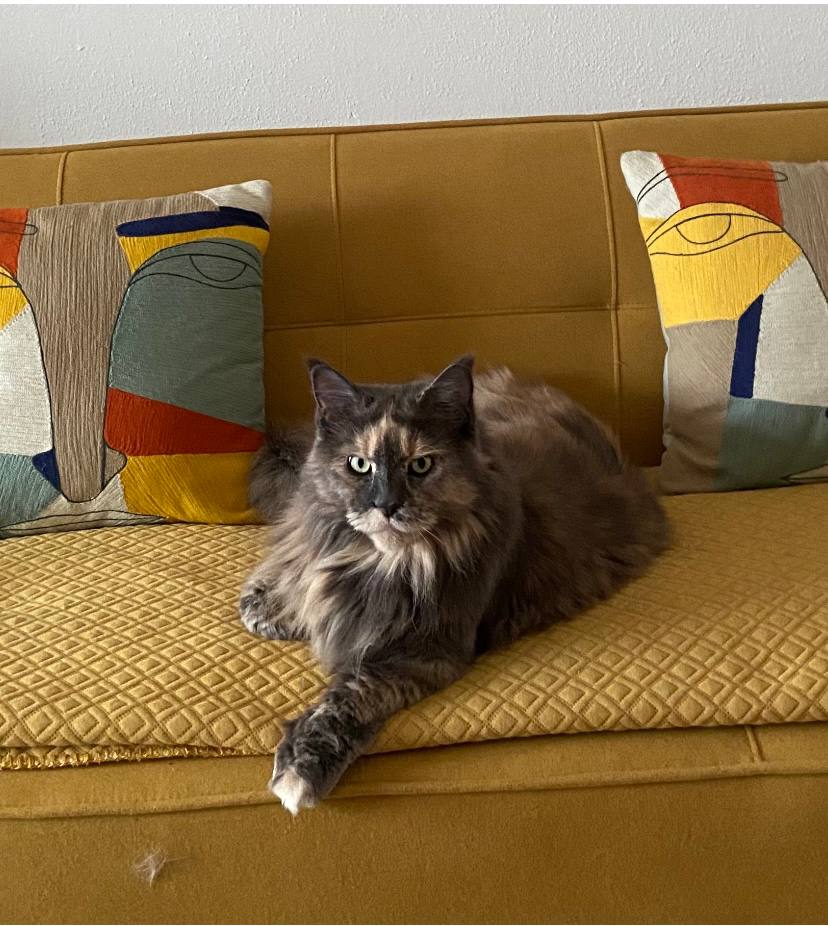 Zoey 8 Jahre alt Zoey 8 Jahre alt