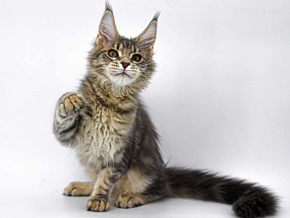 Caro 4 Monate Caro 4 Monate