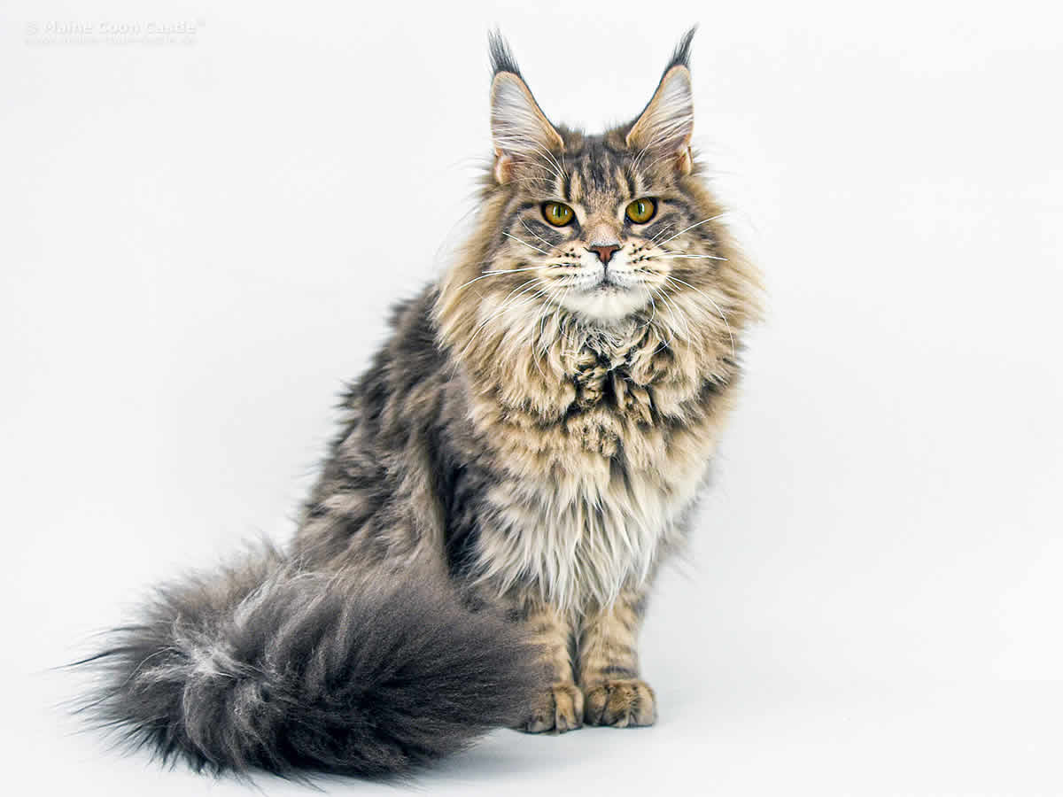 Caro 8 Monate Caro 8 Monate