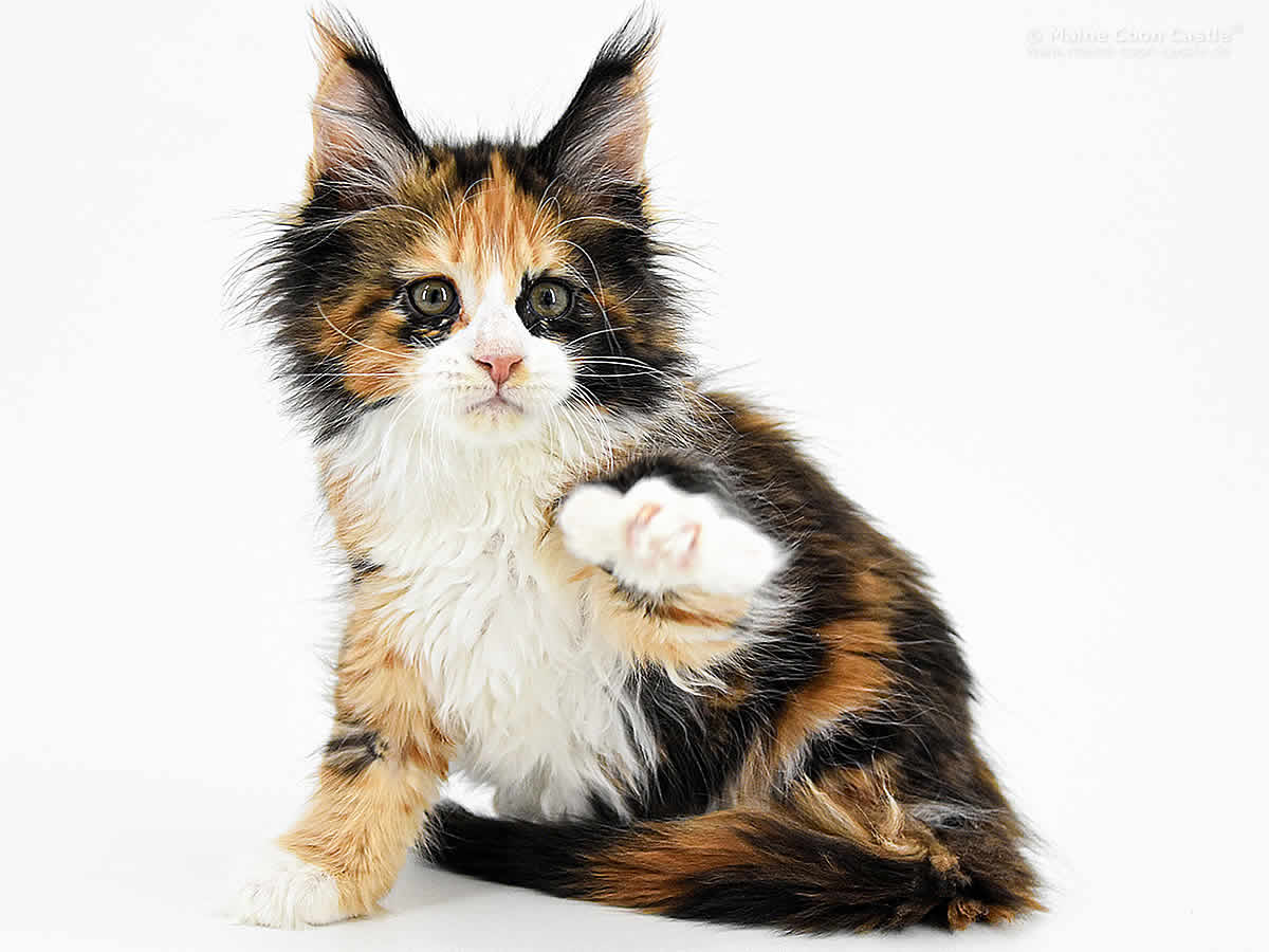 Elena 9 Wochen, 1585g Elena 9 Wochen