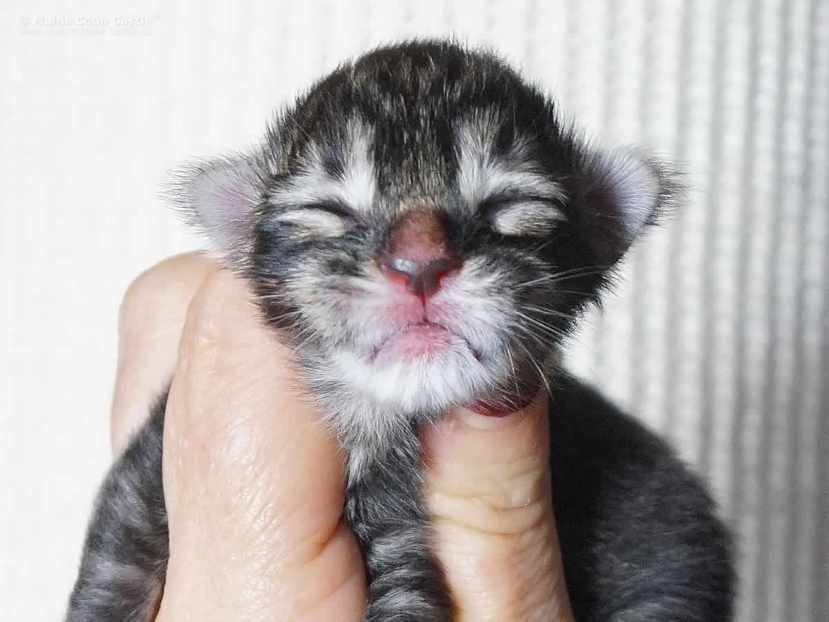 Gina 1 Tag Gina 1 Tag