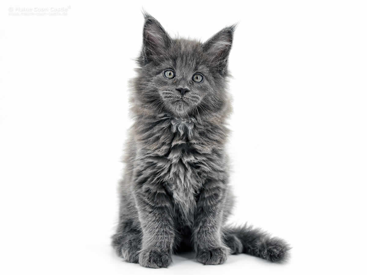 Greg 9 Wochen, 1319g Greg 9 Wochen