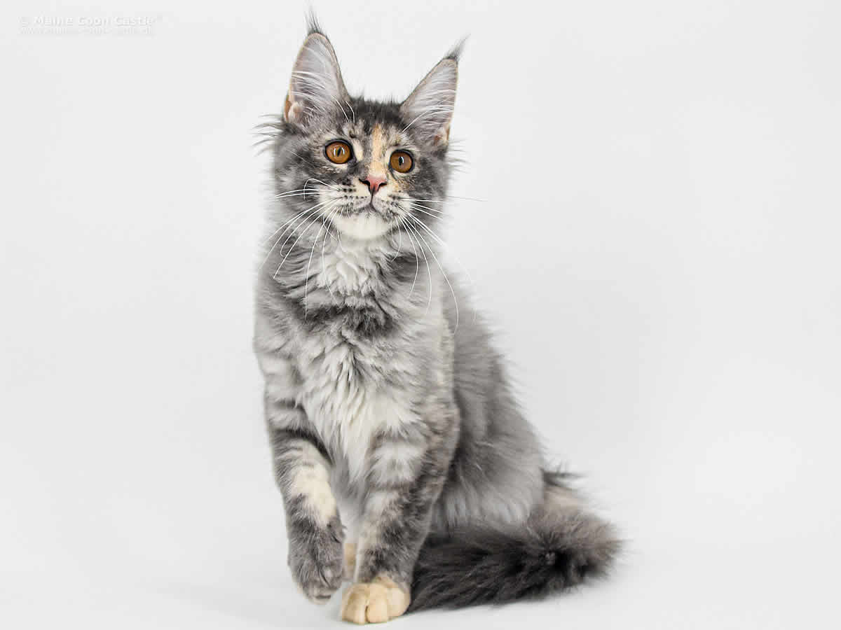 Kylie 4 Monate Alt Kylie 4 Monate Alt