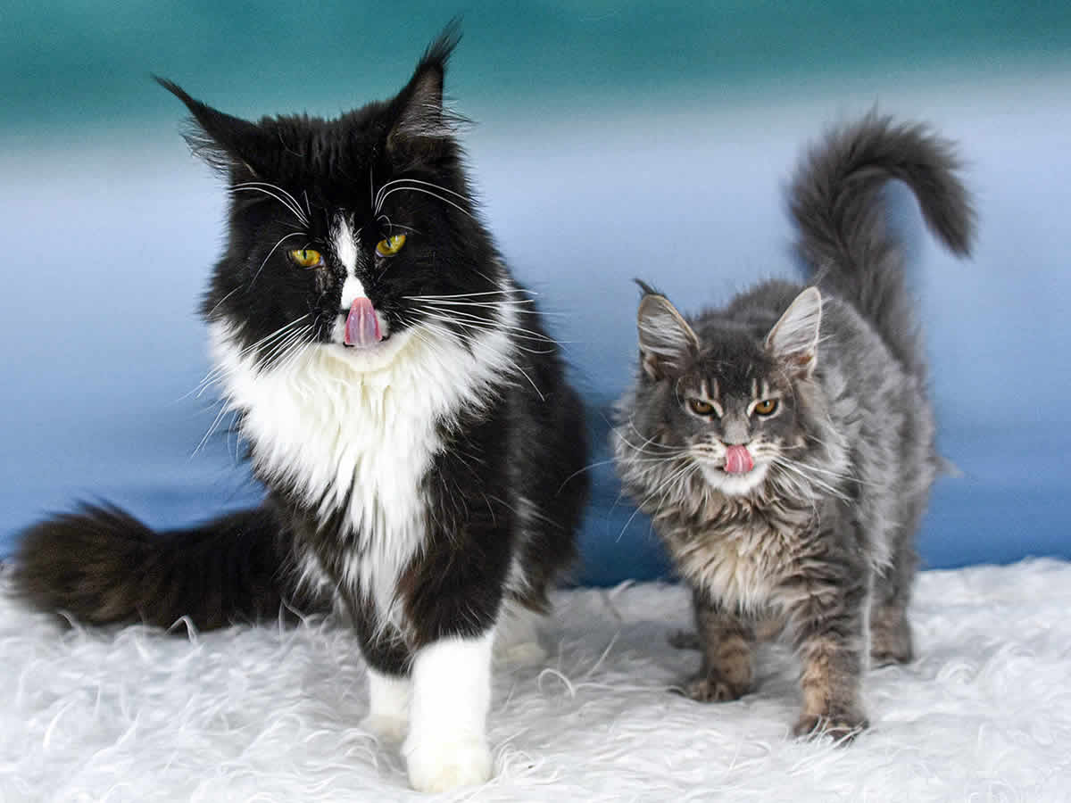 Die Gurke mit ihrer Schülerin Ruby Die Gurke mit ihrer Schülerin Ruby